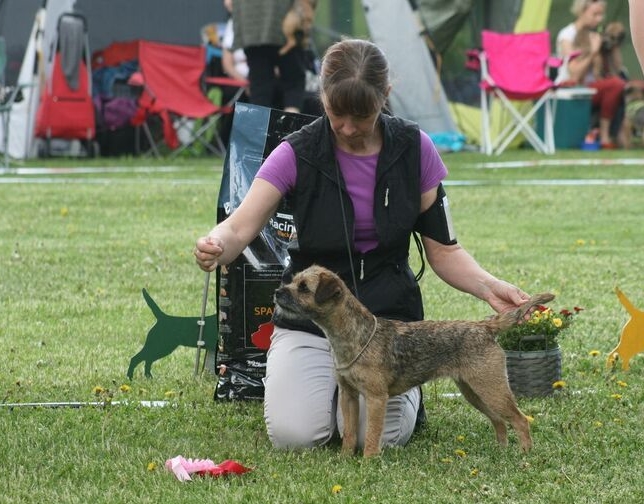 Nuoret nartut_Heathberrys Chasing Rainbow