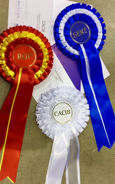 Tampere_KV_ruusukkeet