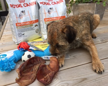 jyvä ja palkinnot_jau