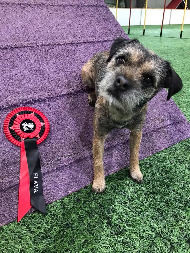 23517651_10212899401252695_5492671886264777767_n[1]