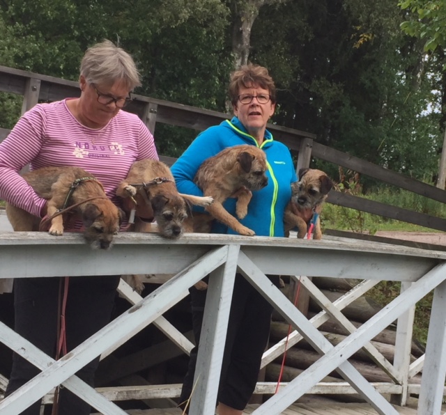 Terrieri osallistujia