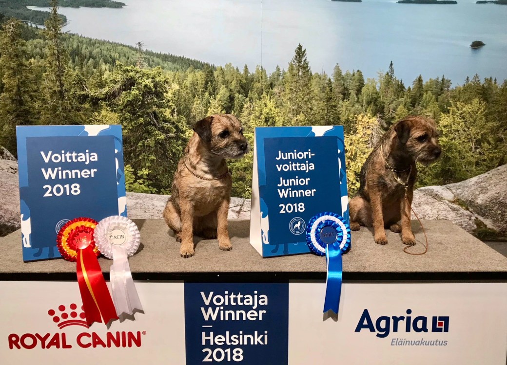 any_irma_voittaja2018