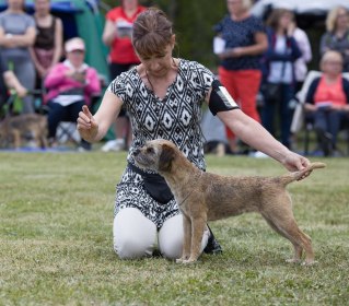 kampsu näyttelyssä