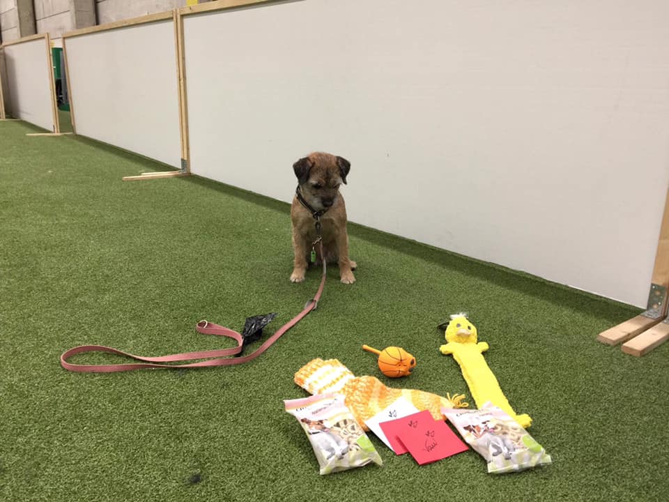 Any_kolmosiin_palkinnot