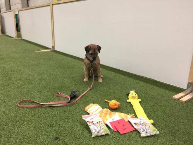 Any_kolmosiin_palkinnot